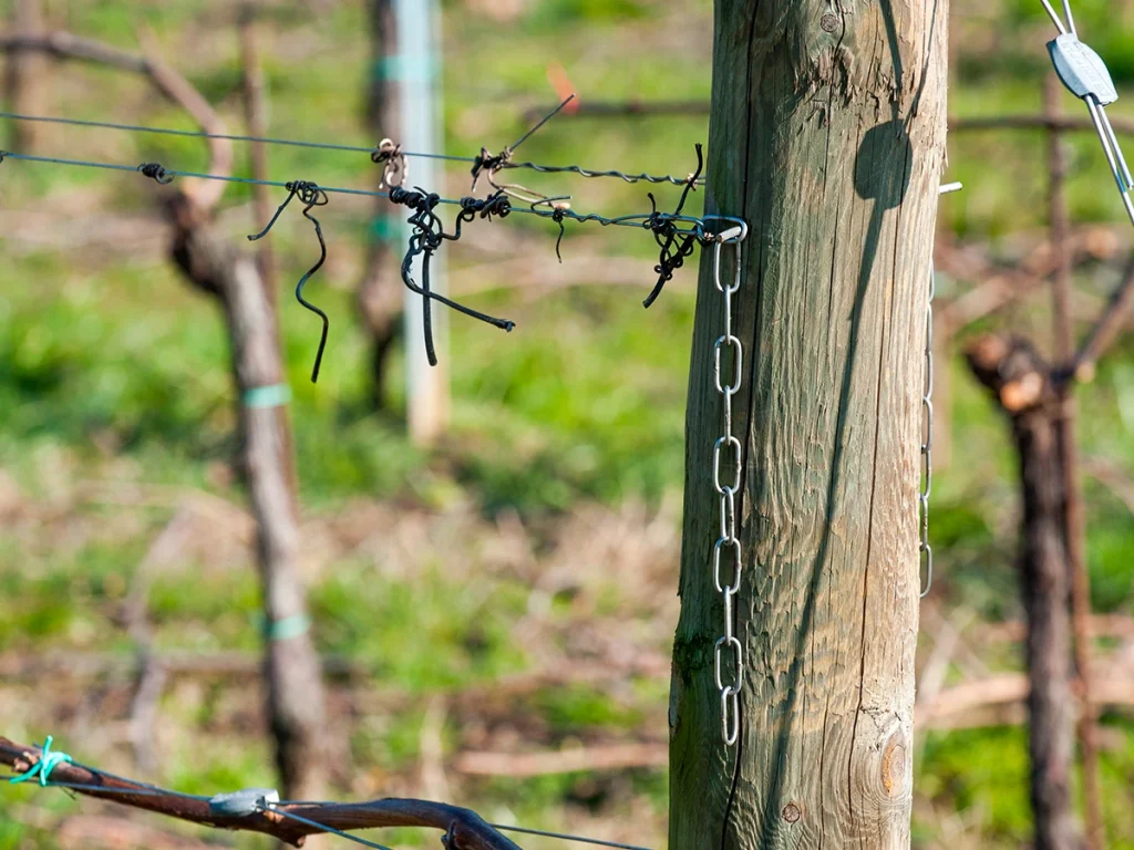 3C Catene - 3C Catene settori utilizzo vigneti